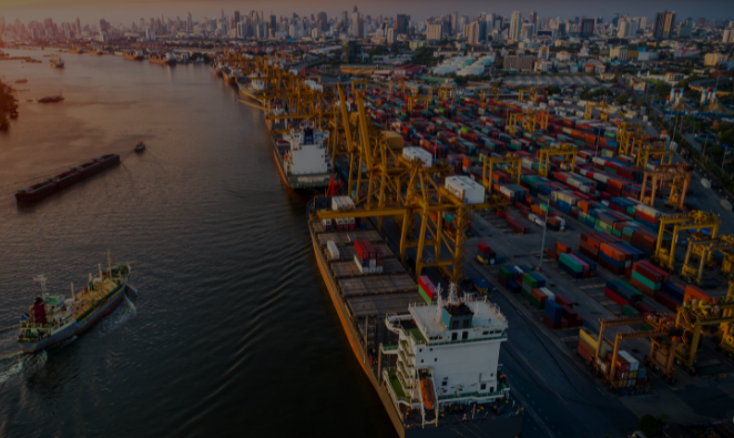 UAE Company Formation